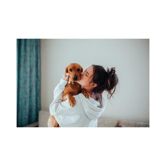 CBD for Dog Anxiety: Can It Really Help?