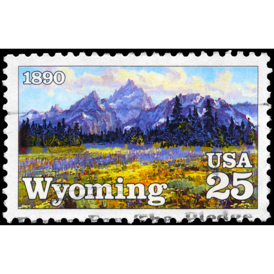 Unlocking Wellness: Why You Should Choose the Best CBD Softgels in Wyoming