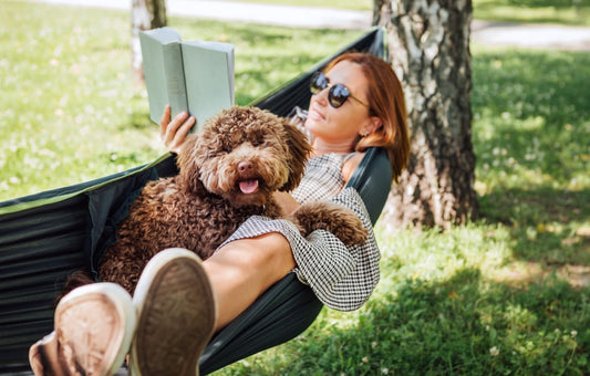 A calm dog resting beside her owner in a hammock — settled, not sedated