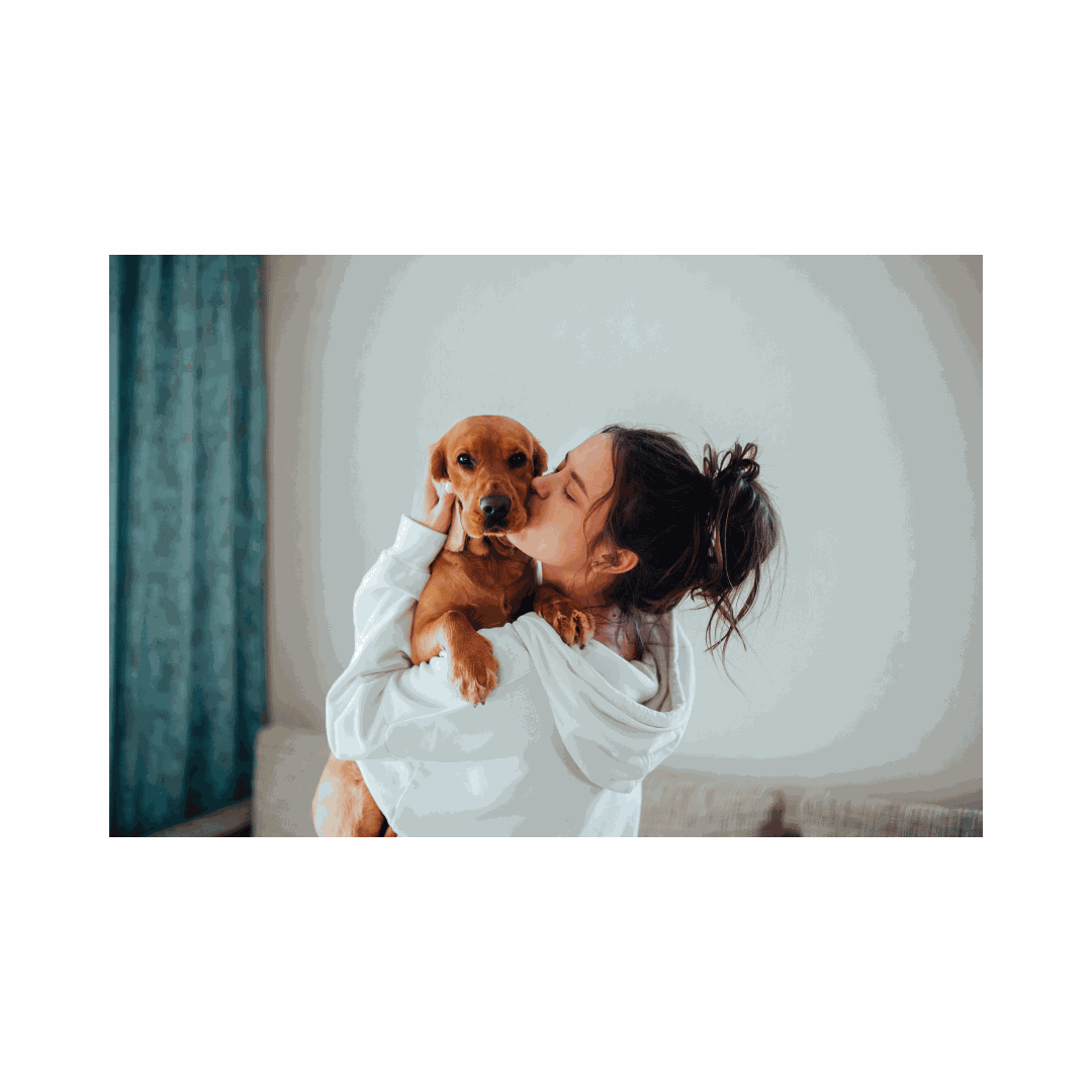 Anxious dog settled beside its owner — CBD for dog anxiety, honestly explained