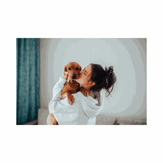 CBD for Dog Anxiety: Does It Really Help? 2026 Guide