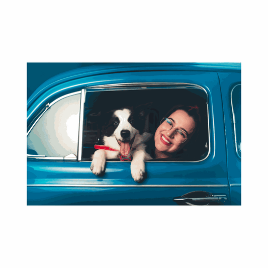 Dog relaxed in the back seat — CBD as part of a calm car-ride routine