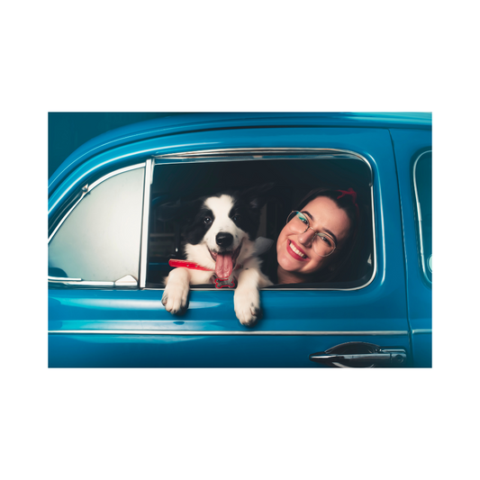 Calm Canine Car Rides: Unleashing the Benefits of CBD for Dogs