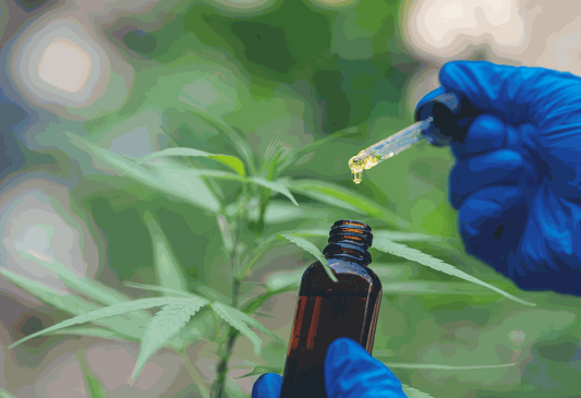 A USDA Certified Organic hemp field at sunrise in Casper, Wyoming with a Soothe Organic broad-spectrum CBD tincture and a Certificate of Analysis in the foreground, representing the USDA Organic CBD process