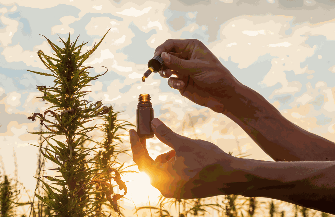 CBD 101: The Science of CBD