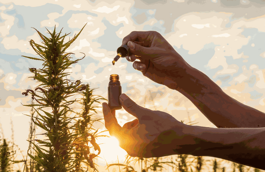 CBD 101: The Science of CBD