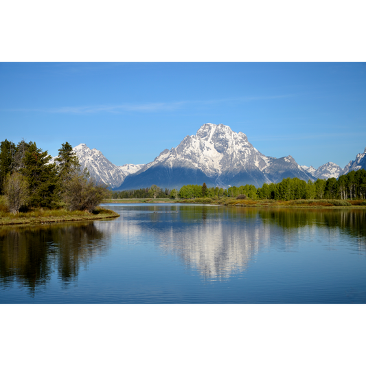 Unlocking Wellness: Choosing the Best CBD Softgels in Wyoming
