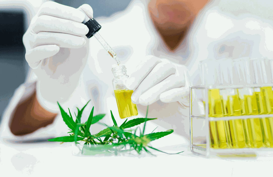 Nano CBD in water — smaller particles, better absorption