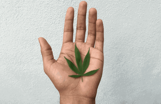 What is THCV?