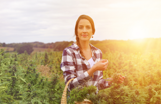 Look for the Seal: The Importance of USDA Organic CBD Products for Conscious Consumers