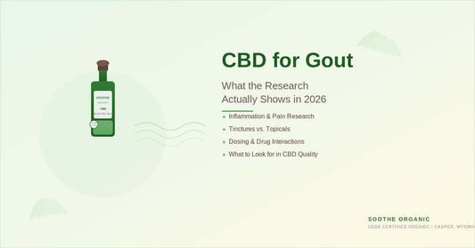 Soothe Organic CBD tincture bottle with article highlights: CBD for gout research, tinctures vs topicals, dosing, and drug interactions