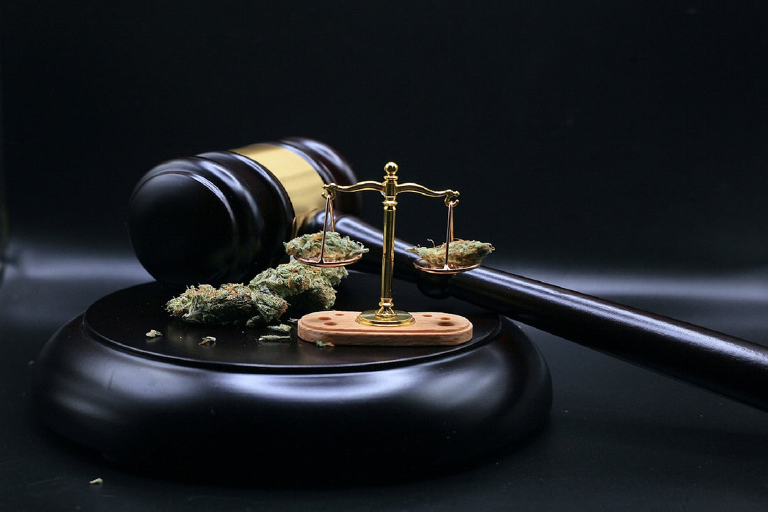 The Legal Landscape of CBD in the United States: Federal and State Regulations You Need to Know