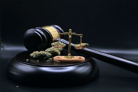 A dropper bottle of organic full-spectrum CBD oil resting on a wooden surface beside hemp leaves and a Certificate of Analysis lab report, with Wyoming landscape in the background — representing legal hemp-derived CBD oil available to Wyoming residents.