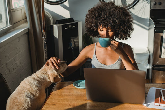  A happy golden retriever and tabby cat sitting together on a wooden floor next to a dropper bottle of organic hemp CBD oil and natural CBD dog chews, representing the best CBD products for pets in Wyoming.